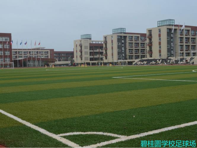 碧桂园学校足球场